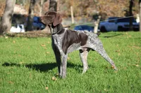 processed/f3b9eb42-cc35-412b-bb9c-f8f696f450a7/listing/bc99b687-bc6e-412a-af7d-7c840898d49e/5dc261b5-c7ab-4e2a-bfe6-8c6ae6a94241