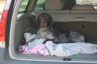 processed/f3b9eb42-cc35-412b-bb9c-f8f696f450a7/listing/bc99b687-bc6e-412a-af7d-7c840898d49e/a16c65c3-1f06-4532-a200-a6129987449c