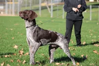 processed/f3b9eb42-cc35-412b-bb9c-f8f696f450a7/listing/bc99b687-bc6e-412a-af7d-7c840898d49e/ad7862b3-779a-40a1-aefe-238c180660d2