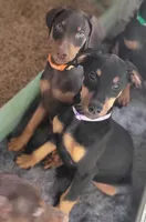 processed/f3baeef8-ce6c-4168-9678-775e115907f6/listing/d0414402-33da-47f2-8b31-9e26dc6237f5/a533b900-f0f0-44d5-ba4d-7845f963c9d2