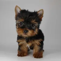 processed/f3c872b2-01d9-4cfc-a5f5-b77af1c1a08b/facility/432c6f79-8c2e-443e-869d-ad582768a3e3