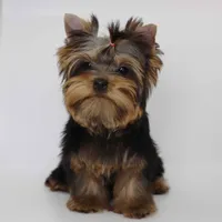 processed/f3c872b2-01d9-4cfc-a5f5-b77af1c1a08b/facility/61d14b94-4bd6-4020-bd27-62e1127fce89