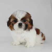 processed/f3c872b2-01d9-4cfc-a5f5-b77af1c1a08b/facility/8172bb6e-346f-4640-9643-690611d001c9