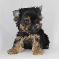 processed/f3c872b2-01d9-4cfc-a5f5-b77af1c1a08b/facility/99ead33b-5330-4758-b248-cc456b0bc951