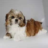 processed/f3c872b2-01d9-4cfc-a5f5-b77af1c1a08b/facility/becd4405-fe0b-4202-8ae0-5d044b62c8e1