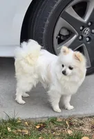 processed/f3c8ec85-fa80-4f87-85a2-e2ec109da260/listing/0c186131-9c8b-4ec7-90ab-6b3678bbd69a/1a6349f4-5be1-4e7a-95d9-b290dc9b73be