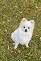 processed/f3c8ec85-fa80-4f87-85a2-e2ec109da260/listing/0c186131-9c8b-4ec7-90ab-6b3678bbd69a/6c45cf31-3974-4ef9-8c47-e2a05d1e22b0