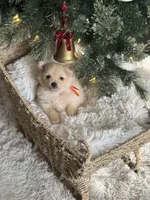 processed/f3c8ec85-fa80-4f87-85a2-e2ec109da260/listing/9b7faeb3-2c0d-438e-b9f6-4172b047ceb9/04f4802d-a51f-4ed0-a1f6-c0a7c6620e05