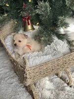 processed/f3c8ec85-fa80-4f87-85a2-e2ec109da260/listing/9b7faeb3-2c0d-438e-b9f6-4172b047ceb9/7b9111be-0bfb-41de-99db-fb4aff7ba1c9