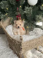 processed/f3c8ec85-fa80-4f87-85a2-e2ec109da260/listing/9b7faeb3-2c0d-438e-b9f6-4172b047ceb9/8041cc38-0793-44ff-ad6c-0b57f58850e2