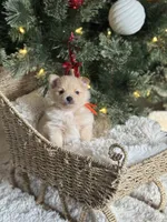 processed/f3c8ec85-fa80-4f87-85a2-e2ec109da260/listing/9b7faeb3-2c0d-438e-b9f6-4172b047ceb9/dcca53b6-afb1-4d30-84ca-2c6f389437ef