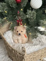 processed/f3c8ec85-fa80-4f87-85a2-e2ec109da260/listing/9b7faeb3-2c0d-438e-b9f6-4172b047ceb9/f0c26995-f898-4c55-90f2-6813c79df530