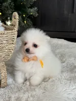 processed/f3c8ec85-fa80-4f87-85a2-e2ec109da260/listing/bad78338-76b7-4085-8085-2d96d5649248/a2f523f4-ac37-4671-bee8-9b407e97e2bf