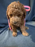 processed/f3cc1452-9ce7-4313-976c-b539b37812e0/facility/13aadb3e-8648-43db-b336-86a95397ba11