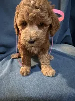 processed/f3cc1452-9ce7-4313-976c-b539b37812e0/facility/bf00ab84-520f-4684-ba87-e67465f01d14