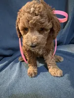 processed/f3cc1452-9ce7-4313-976c-b539b37812e0/facility/e524cf88-cbd7-426c-ac6c-4dcbce80b98e