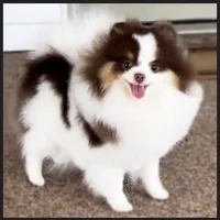 processed/f3ce66f0-4a77-4070-bd88-c64a97c0e2ea/facility/60c8efac-16cb-40da-9564-00efc8fa2f61