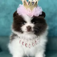 processed/f3ce66f0-4a77-4070-bd88-c64a97c0e2ea/facility/6cb34751-c19b-4ccf-8e7e-3a85a5f25c9a