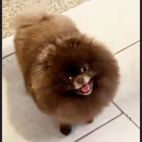 processed/f3ce66f0-4a77-4070-bd88-c64a97c0e2ea/facility/7d2a278e-aa48-4eb2-b5e0-5d792b29ae2a