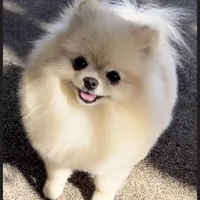 processed/f3ce66f0-4a77-4070-bd88-c64a97c0e2ea/facility/8cc1e31f-3f72-4234-9276-8c06d2a7db77