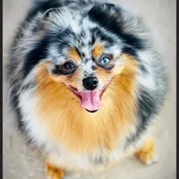 processed/f3ce66f0-4a77-4070-bd88-c64a97c0e2ea/facility/9fbfe822-03b6-4ae3-9bc4-7174f45431dd