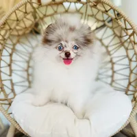 processed/f3ce66f0-4a77-4070-bd88-c64a97c0e2ea/facility/d9660d1f-7cd3-4488-81cd-621ef1e63641