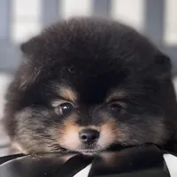 processed/f3ce66f0-4a77-4070-bd88-c64a97c0e2ea/facility/e80ea96c-e038-4312-9b39-a3c8fc68f413