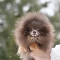 processed/f3ce66f0-4a77-4070-bd88-c64a97c0e2ea/facility/feab5aaf-4fb7-4eb5-85f5-0f50430faa34