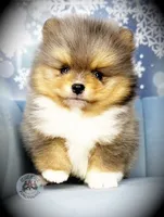 processed/f3ce66f0-4a77-4070-bd88-c64a97c0e2ea/listing/e5b945d0-7f51-44b2-8b88-77d469688cce/2d35ffd9-cf58-4ce3-a330-d0e043f43a2c