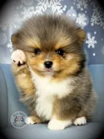 processed/f3ce66f0-4a77-4070-bd88-c64a97c0e2ea/listing/e5b945d0-7f51-44b2-8b88-77d469688cce/697cd393-2eba-44ac-98f2-2514a09ce069