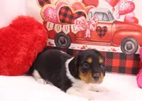 processed/f3dde46c-8e79-4648-a1ae-ed0e11548449/listing/680a69d7-b7ad-4d77-b858-eae45ba24092/3a322e7d-016b-48a9-bc31-56d37b2b2d04