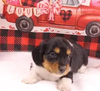 processed/f3dde46c-8e79-4648-a1ae-ed0e11548449/listing/680a69d7-b7ad-4d77-b858-eae45ba24092/8c84090b-0f0b-4f41-8723-1e354a148a45