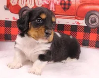 processed/f3dde46c-8e79-4648-a1ae-ed0e11548449/listing/680a69d7-b7ad-4d77-b858-eae45ba24092/904f76c1-f65f-4a80-8029-519d60ea5da6