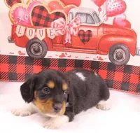 processed/f3dde46c-8e79-4648-a1ae-ed0e11548449/listing/680a69d7-b7ad-4d77-b858-eae45ba24092/92888634-fc4c-40ed-b353-2ef51d507d87