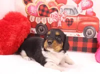 processed/f3dde46c-8e79-4648-a1ae-ed0e11548449/listing/680a69d7-b7ad-4d77-b858-eae45ba24092/c98422c3-7d00-4261-8ee6-2bbb8337cb0d