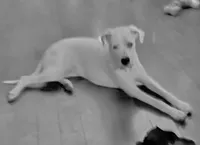 processed/f3e7c2fb-382e-4efa-9863-18cc460bad4e/listing/19ec15db-1e7b-4865-a887-8b79df50c578/941d130b-b03f-4204-bcae-6e9a9759856c