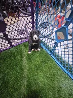 processed/f3e7c2fb-382e-4efa-9863-18cc460bad4e/listing/19ec15db-1e7b-4865-a887-8b79df50c578/bca0dcd5-1706-4e46-8e95-2fa37d1b0ce8