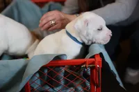 processed/f3e7c2fb-382e-4efa-9863-18cc460bad4e/listing/38dd2e85-277a-4fbf-92bb-9a30acd6c9f7/1655e02b-7346-42e8-a31a-4750e4b429e5