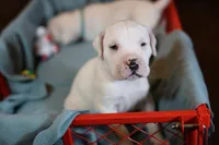 processed/f3e7c2fb-382e-4efa-9863-18cc460bad4e/listing/38dd2e85-277a-4fbf-92bb-9a30acd6c9f7/5ee3e73c-cd79-4532-8093-ec0b2b343f25