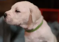 processed/f3e7c2fb-382e-4efa-9863-18cc460bad4e/listing/8d6fcf7c-9e57-4095-9843-ec4bffa1c00e/538bda08-f069-4508-b0a3-1cca857fe7a8