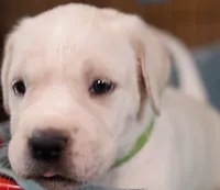 processed/f3e7c2fb-382e-4efa-9863-18cc460bad4e/listing/8d6fcf7c-9e57-4095-9843-ec4bffa1c00e/768d9b0c-963d-4b2e-9296-2c1c341af4c3