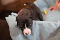 processed/f3e7c2fb-382e-4efa-9863-18cc460bad4e/listing/c5ba2475-5abc-4342-a64f-7625561df73c/10c9946e-4cfc-4e16-9316-7e1ce6c80385