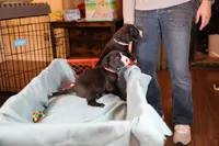 processed/f3e7c2fb-382e-4efa-9863-18cc460bad4e/listing/c5ba2475-5abc-4342-a64f-7625561df73c/2457c9ab-dde3-4773-9442-87a8e937c830