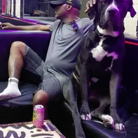 Hot Pink, a female Dogo Argentino and Cane Corso for sale in Los Angeles, CA – Photo 3 of 4