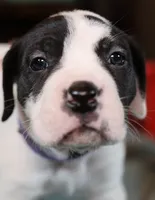 processed/f3e7c2fb-382e-4efa-9863-18cc460bad4e/listing/e8679abb-9f94-4bdf-9999-27f5cb47a111/9142f424-71d7-4ca3-84ea-ccd0e3bd132e