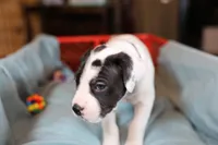 processed/f3e7c2fb-382e-4efa-9863-18cc460bad4e/listing/e8679abb-9f94-4bdf-9999-27f5cb47a111/dcb72479-b273-4e74-97b0-5bc4b9b7d2d9