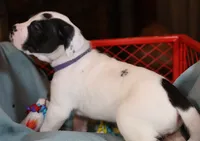 processed/f3e7c2fb-382e-4efa-9863-18cc460bad4e/listing/e8679abb-9f94-4bdf-9999-27f5cb47a111/fb420f07-b2e7-48ae-b4e6-fa5c1a42f3ad