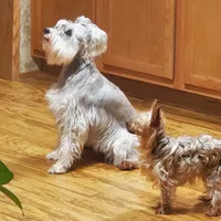 processed/f3eef64a-dba9-4c15-97f1-dfccb5f6bfe6/facility/98bde69d-5c5c-4ea4-966d-985e41c9b6e2