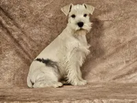 processed/f3eef64a-dba9-4c15-97f1-dfccb5f6bfe6/listing/5949f6ff-38d9-4cb2-b78a-a52e76186be1/1946492d-845c-45c4-a93b-811fcd5286b5