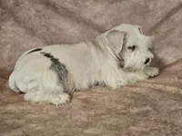 processed/f3eef64a-dba9-4c15-97f1-dfccb5f6bfe6/listing/5949f6ff-38d9-4cb2-b78a-a52e76186be1/65eb3306-25d4-4d13-bda3-d3779f2058c5